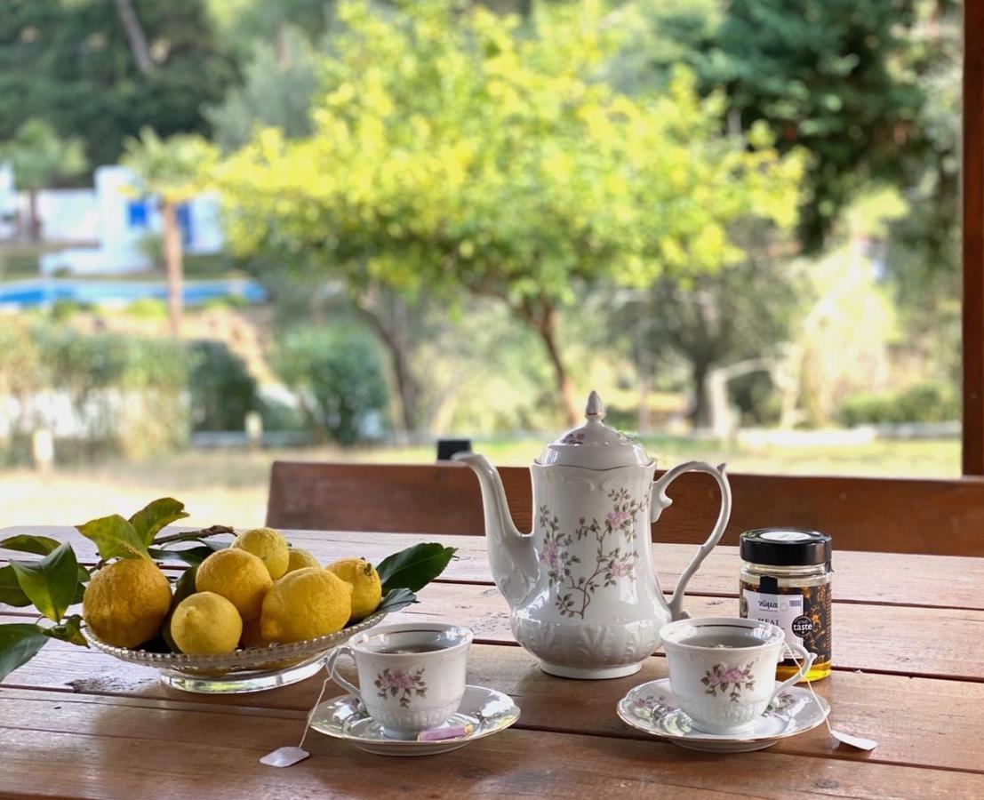 Sani Garden House Holiday home