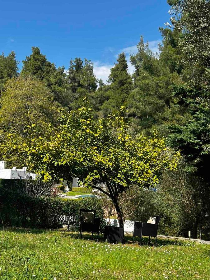 Sani Garden House