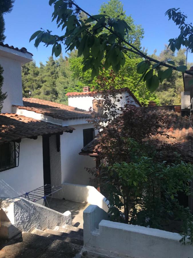 Sani Garden House Holiday home