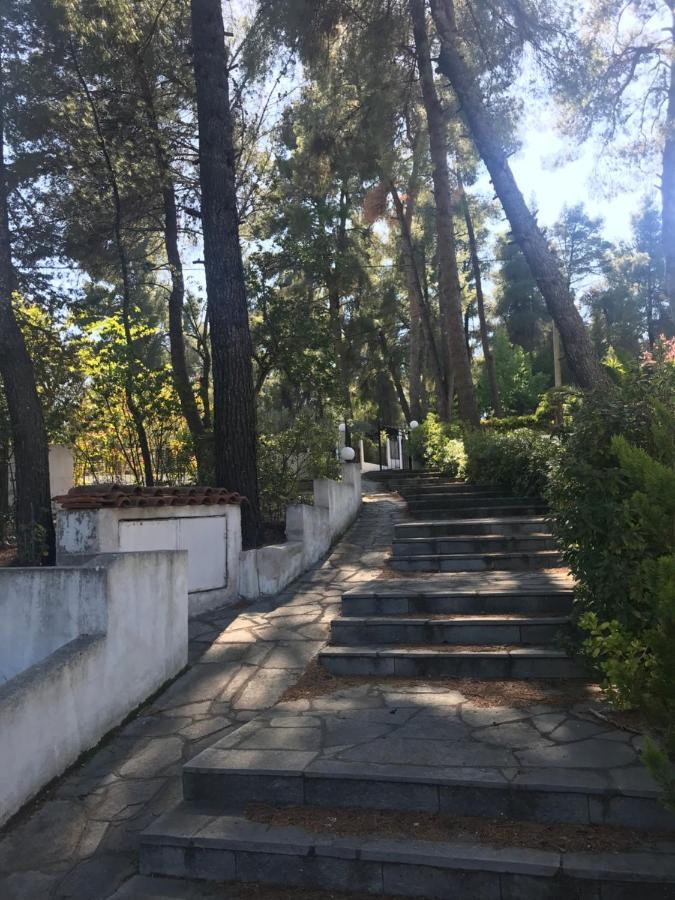 Sani Garden House Holiday home *