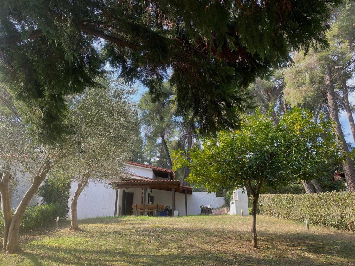 Sani Garden House 度假居 Sani (Chalkidiki)